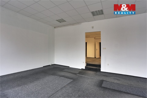 Pronájem obchodních prostor, 116 m² - 6
