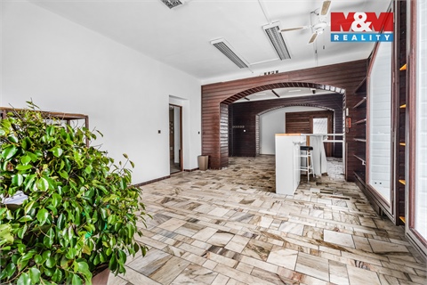 Prodej obchodních prostor, 801 m² - 10