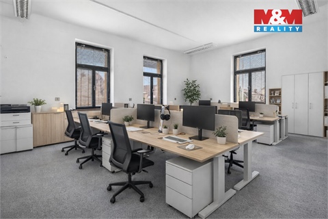 Prodej obchodních prostor, 801 m² 8