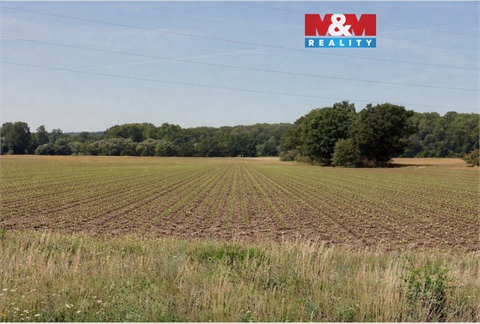 Prodej zemědělské půdy, 1 355 m² - 0