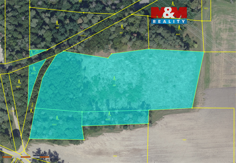 Prodej lesu, 13 230 m² 0