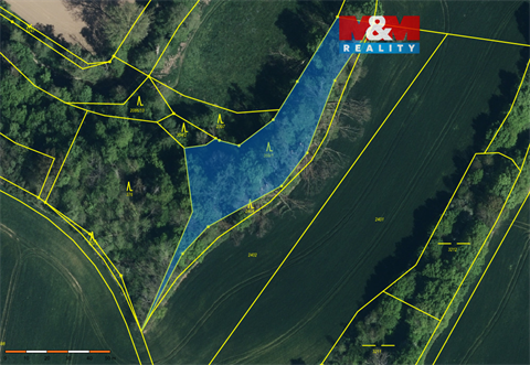 Prodej lesu, 2 904 m² 0