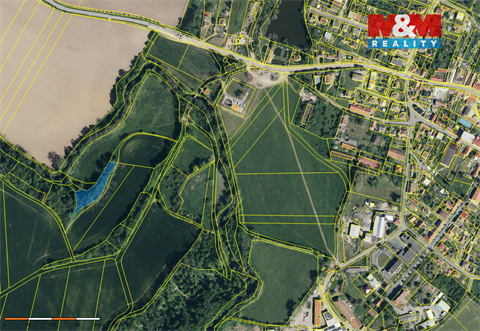 Prodej lesu, 2 904 m² - 0