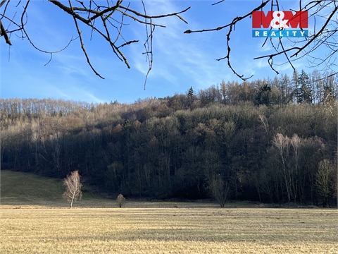 Prodej stavebního pozemku, 13 250 m² - 4