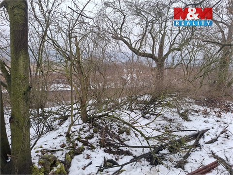 Prodej zahrady, 525 m² - 2