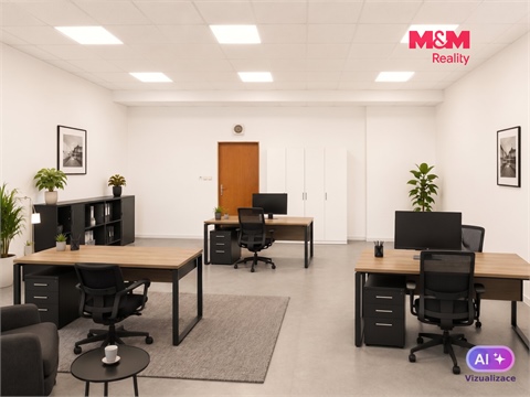 Pronájem kanceláře, 53 m² 8
