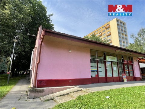 Pronájem obchodních prostor, 166 m² - 2