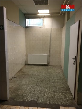 Pronájem obchodních prostor, 166 m² - 8