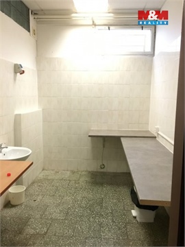 Pronájem obchodních prostor, 166 m² - 6