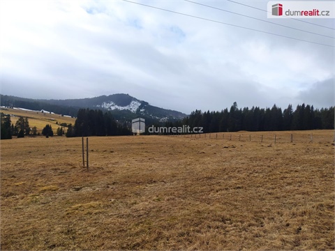 Prodej louky, 1 321 m² - 0