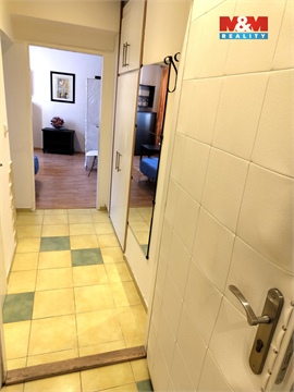 Pronájem bytu 1+1, 32 m² - 6