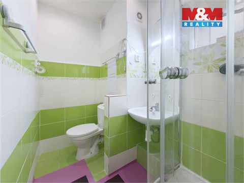 Prodej bytu 2+1, 54 m² 6