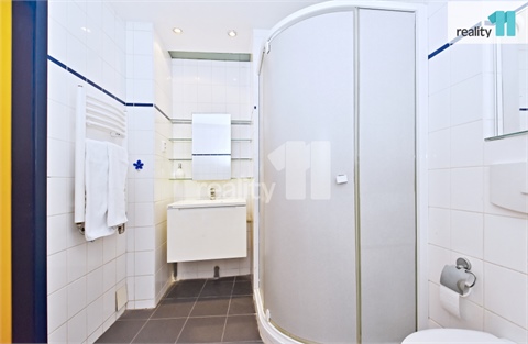Pronájem bytu 5kk, 105 m² 14