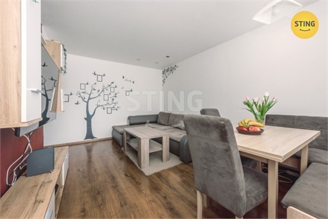 Prodej bytu 3+1, 61 m² 4