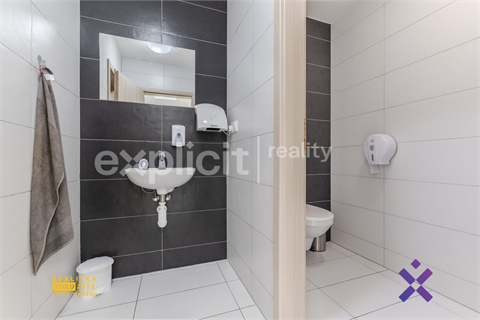 Pronájem obchodních prostor, 173 m² - 8