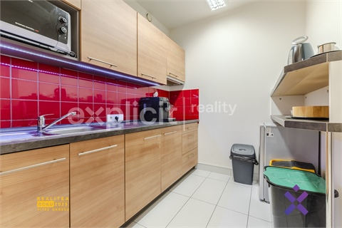 Pronájem obchodních prostor, 173 m² 8