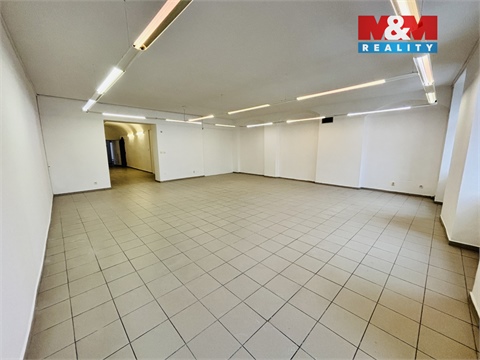Pronájem obchodních prostor, 360 m² - 10