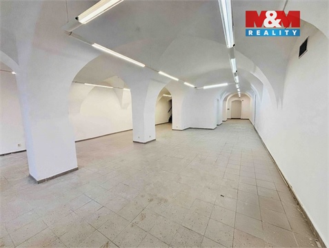 Pronájem obchodních prostor, 360 m² 4