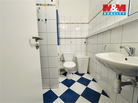 Pronájem bytu 1+1, 33 m² 10