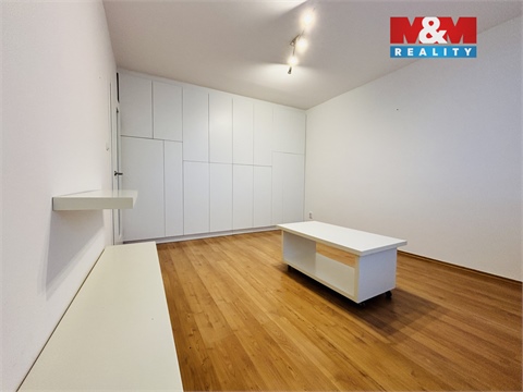 Pronájem bytu 1+1, 33 m² - 4