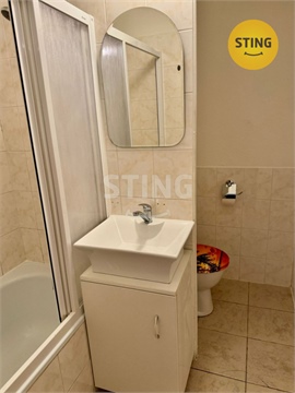 Pronájem bytu 2+1, 46 m² 6