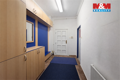 Pronájem obchodních prostor, 460 m² - 8