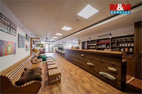 Prodej rodinného domu, 533 m² 2