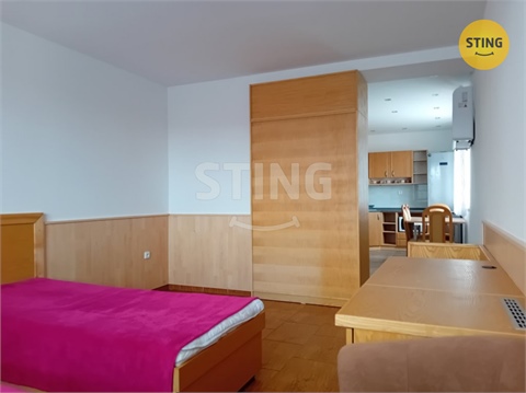 Pronájem bytu 1+1, 41 m² 2