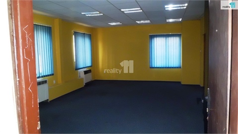 Pronájem obchodních prostor, 110 m² - 14