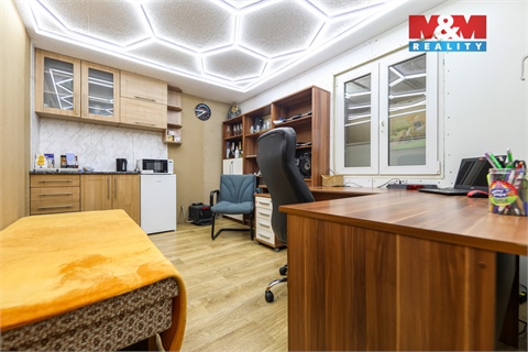 Prodej rodinného domu, 482 m² 10