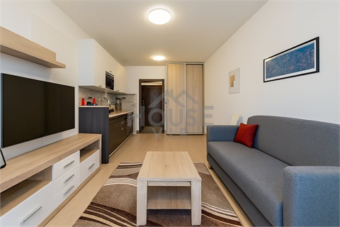 Prodej bytu 1kk, 30 m² 2