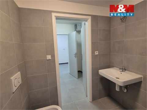 Pronájem obchodních prostor, 128 m² - 12