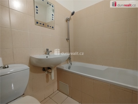 Pronájem bytu 2+1, 52 m² 8