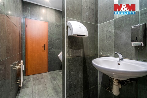 Pronájem obchodních prostor, 324 m² - 10