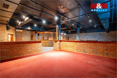 Pronájem obchodních prostor, 324 m² - 4
