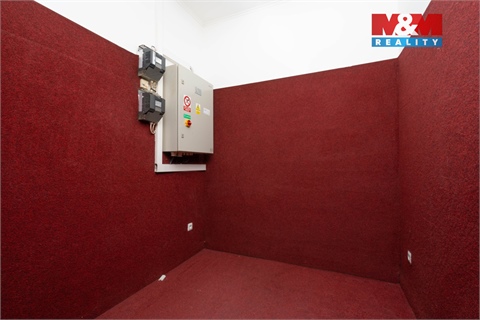 Pronájem obchodních prostor, 324 m² - 14