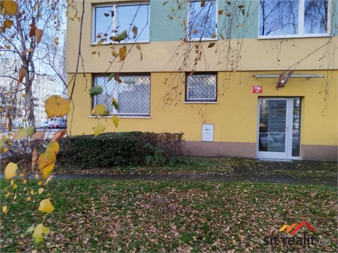 Prodej bytu 3+1, 60 m² 12