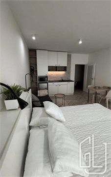 Pronájem bytu 1kk, 38 m² 0