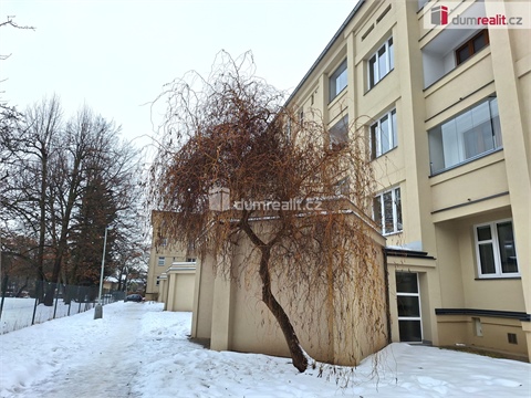 Pronájem bytu 3+1, 102 m² - 12