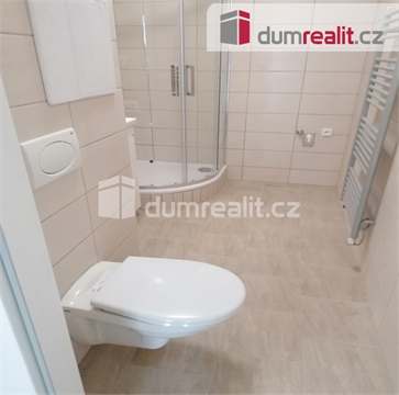 Pronájem bytu 2+1, 61 m² 28