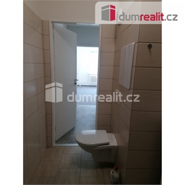 Pronájem bytu 2+1, 61 m² - 28