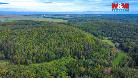Prodej stavebního pozemku, 2 025 m² 8