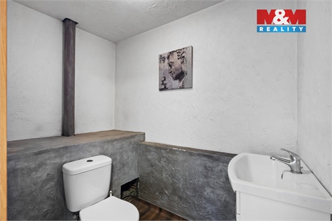 Prodej rodinného domu, 342 m² - 12