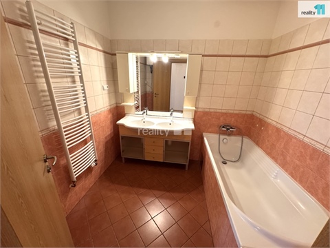 Pronájem bytu 1kk, 100 m² 14