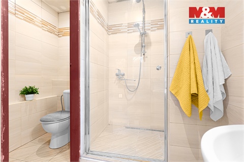 Prodej rodinného domu, 220 m² - 6