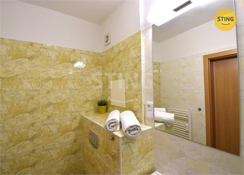 Pronájem bytu 1kk, 24 m² 8