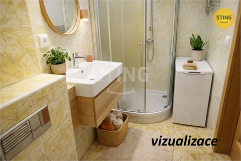 Pronájem bytu 1kk, 24 m² 4