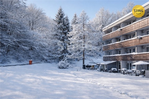 Pronájem bytu 1kk, 24 m² 10