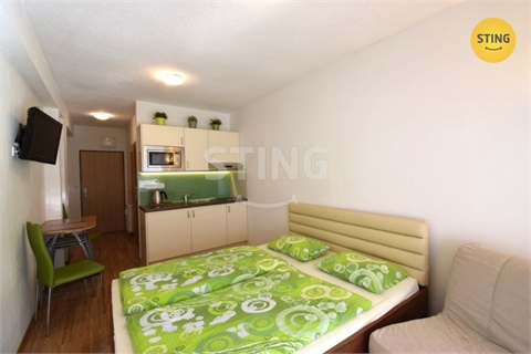 Pronájem bytu 1kk, 24 m² 8