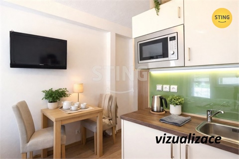 Pronájem bytu 1kk, 24 m² 2